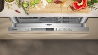 S153HTX02G, Fully-integrated dishwasher