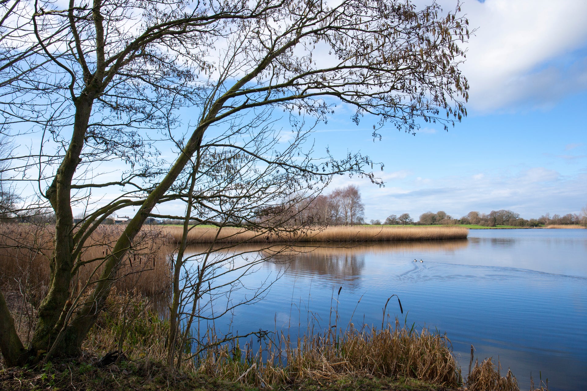 Sandbach