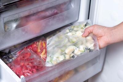 Can Fridge Freezers Be Kept in a Garage?