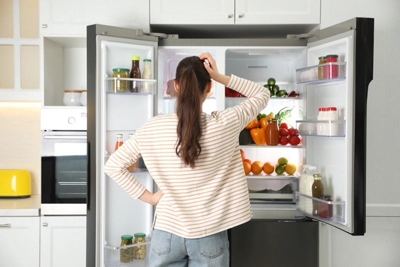 Howards Electricals What Temperature Should My Fridge Freezer Be? - Blog, Staffordshire's Largest Independent Electrical Retailer
